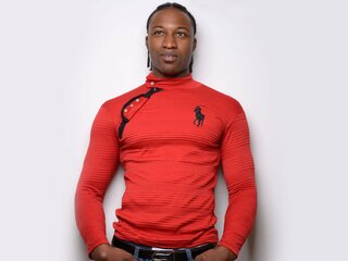 AnthonyRomeo toy
